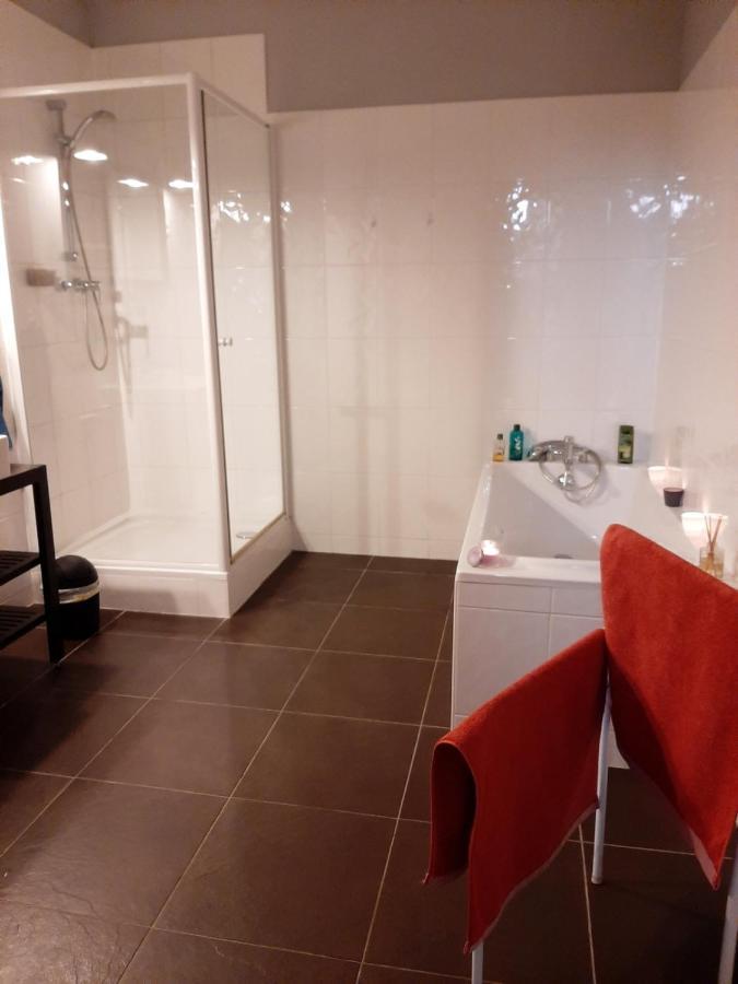 Apartment N¨°1 Schongauer De Charme Centre Touristique Colmar